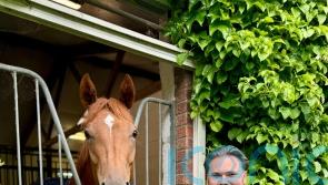 Fellowes hoping for Perfect outcome in France
