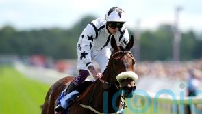 Consistent Al Qareem bags another big prize