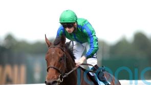 Urban Lion sets up Royal Hunt Cup tilt with Sandown success