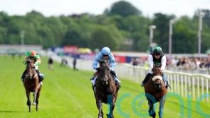 York Eyecatcher Rikki Tiki Tavi promises plenty