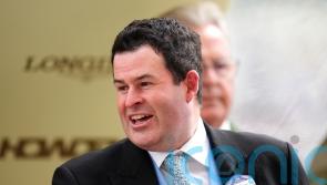 Dwyer not feeling the pressure as Asfoora defends Ascot title