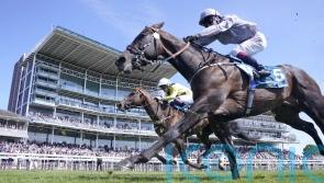 Burke backing Night Raider to make his mark in King Charles speed test