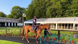 Carl Spackler adds truly international flavour to Queen Anne cracker