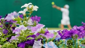 How to get the Wimbledon look in your garden