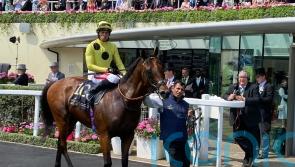 Ascot heartbreak for Hannon as Rosallion just eclipsed