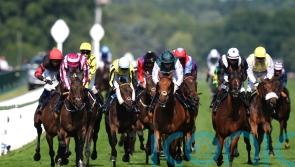 Ascot Eyecatcher Reaching High will get his day in the sun