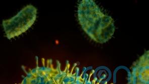 Person dies in UK after becoming infected with rabies while on holiday