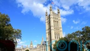 Cats ruled out for parliamentary pest patrols over welfare concerns
