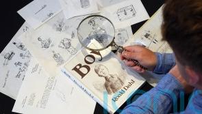 Roald Dahl sketches sell for almost £24,000 at auction