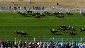 My Cloud overshadows the rest in Royal Hunt Cup