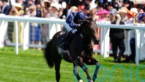 Charles Darwin lives up to his billing in Norfolk Stakes