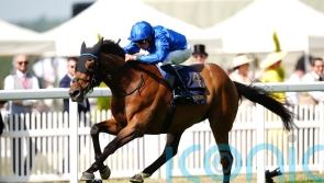 Trawlerman comes of age with Gold Cup haul