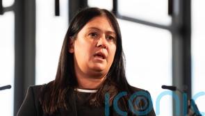 Minister insists no major welfare rebellion on the horizon after whip quits