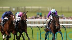 Headline buy Ghostwriter gets mile-and-a-half chance in Hardwicke