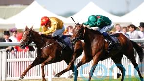 Cercene upstages Zarigana in Coronation Stakes