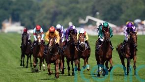 Graffard taking the positives as Zarigana suffers Coronation reverse
