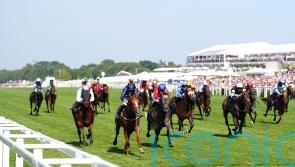 Ascot Eyecatcher Cajole will make persuasive case next time
