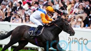 Noble just Champion for Walker and Shoemark