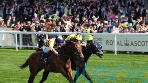 Goldie cool on idea of Goodwood for American Affair