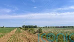 Heatwave latest hit to farmers struggling with increasingly extreme weather
