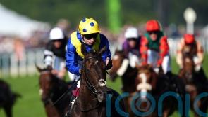 Provisional plans outlined for Never So Brave and More Thunder