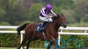 Delacroix pencilled in to join Camille Pissarro at Sandown