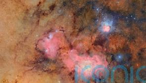 Largest digital camera ever built reveals its first shots of the universe