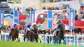 Middleham Park looking to the Curragh skies for Lazy Griff