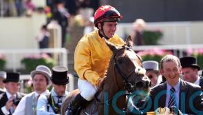 Irish Oaks bid on the cards for surprise Coronation winner Cercene