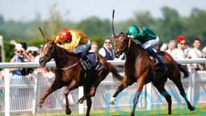 Summer break for Zarigana before plans for rest of the year are made