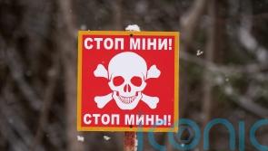 UK commitment to landmine ban ‘unwavering’ says minister as allies exit