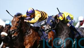 Frost At Dawn has Breeders’ Cup as big end-of-season target