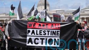 Seven charged after protesters clash with police at Palestine Action rally