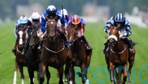 Options aplenty for impressive Albany heroine Venetian Sun