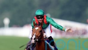 Calandagan back in search of elusive Group One gold