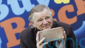Brendan Gleeson does not regret Micheal Martin ‘moron’ outburst