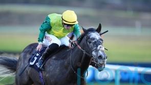 In-form Channon backing Ferrous to show his metal