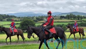 Harrington hoping for maximum Impact in Irish Derby