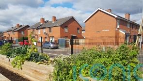 Ombudsman to investigate NI Housing Executive