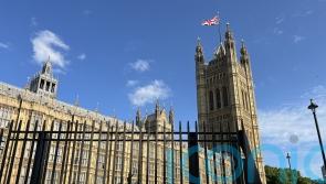 Police guarding Parliament think new security fence is ‘dangerous’, says author