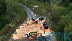 Operation to clean up 30,000 tonnes of waste dumped in woods gets under way