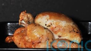 New salmonella warning as infections hit highest level in a decade