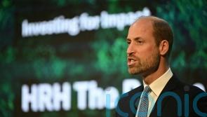 William urges investment in environmental projects