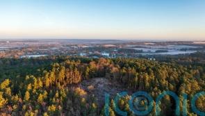Home of ‘Devil’s Punch bowl’ in Surrey declared national nature reserve