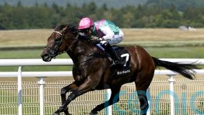 Juddmonte juggling pack with leading milers