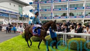 Lazy Griff all set for a third crack at Lambourn in Irish Derby