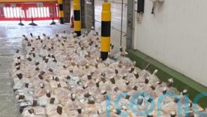 Massive cocaine haul valued at £100m seized at UK port