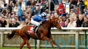 Classic heroes and Arc angel Rheingold on the list of Barry Hills giants