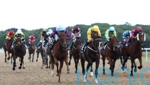 Spirit Mixer produces 25-1 Northumberland Plate surprise