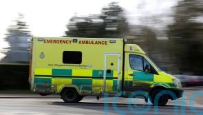 Girl, seven, killed after tree collapses in Essex park